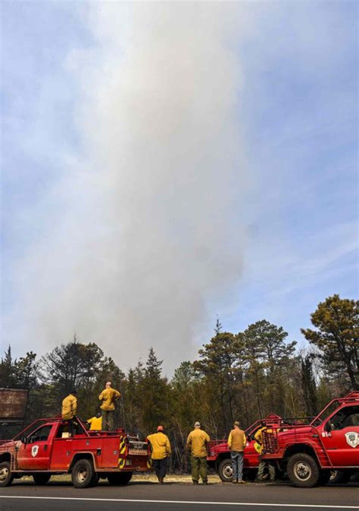 
Forest fire in Turkey prompts evacuation of 410 people 