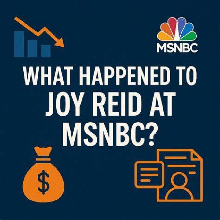 
Is Joey Reid Leaving MSNBC? Rumors Say She Got Fired For Racist Remarks 