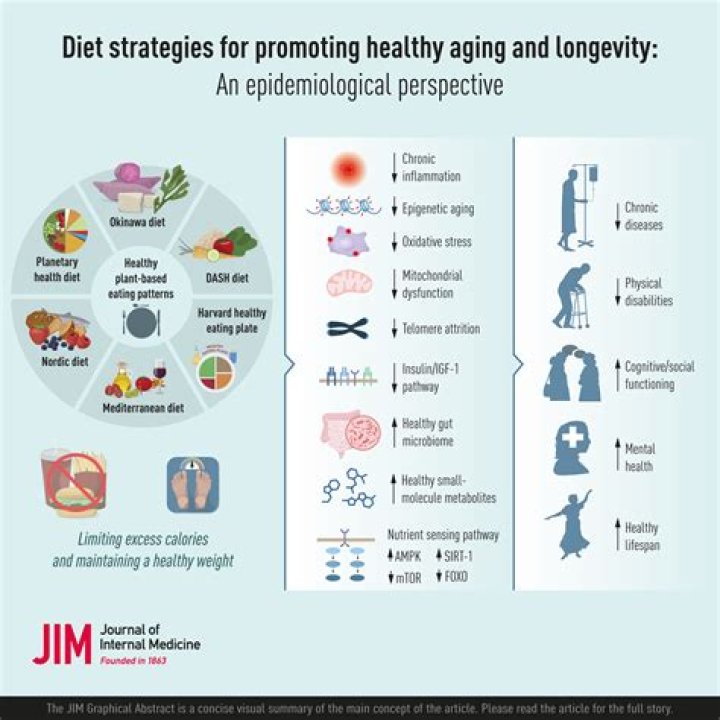 Lucile Randon Diet For Longevity – What Do The Oldest Person Eat? Lifestyle and Food Secrets