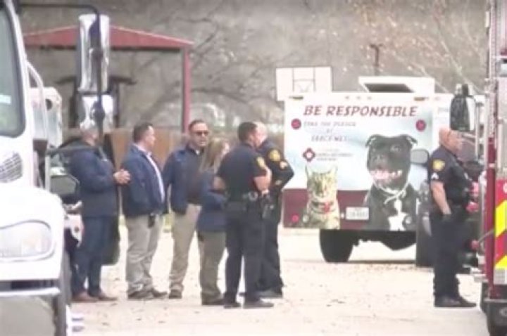 
Video shows first responders fighting dogs that killed an 80-year-old and left 3 injured in San Antonio 