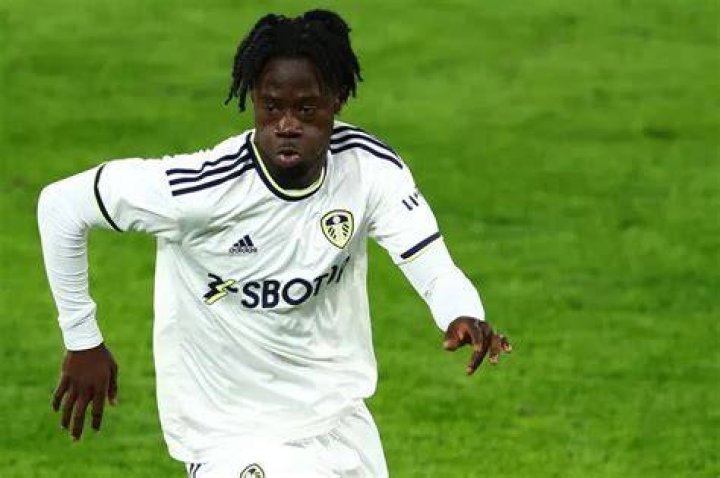 
Who Is Darko Gyabi? Leeds United Newest Signing Could Be Next Breakout Star 